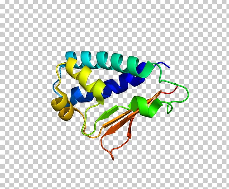 BTG2 Protein Cell Cycle Gene BTG Family PNG, Clipart, Btg, Cell, Cell Cycle, Cell Cycle Checkpoint, Dju Free PNG Download
