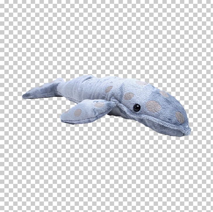 Dolphin Stuffed Animals & Cuddly Toys Porpoise Cetacea Marine Biology PNG, Clipart, Barnacle, Biology, Cetacea, Dolphin, Fauna Free PNG Download
