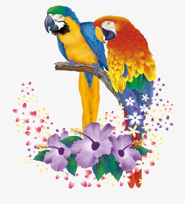 Hand-painted Parrot Pattern PNG, Clipart, Art Glass, Beauty, Cartoon Animals, Chinese Style, Clothing Pattern Free PNG Download
