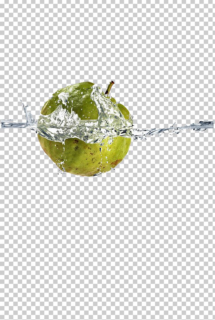 Auglis Lime Apple PNG, Clipart, Advertising, Apple, Auglis, Drop, Drops Free PNG Download