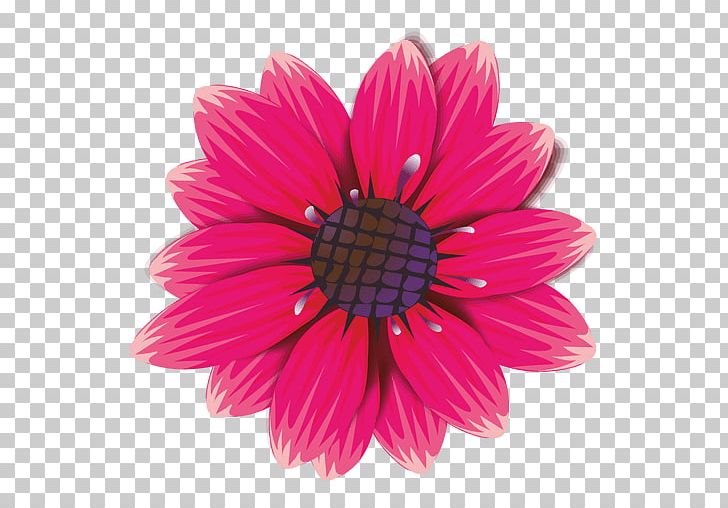 Flower Common Daisy Violet PNG, Clipart, Chrysanths, Closeup, Common Daisy, Cut Flowers, Dahlia Free PNG Download