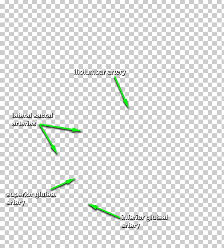 Brand Diagram Line PNG, Clipart, Angle, Art, Brand, Diagram, Grass Free PNG Download