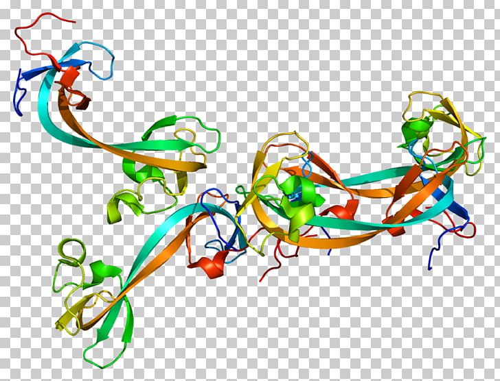 KDM4A Demethylase Gene Protein KDM4C PNG, Clipart, Area, Art, Artwork, Chromosome, Demethylase Free PNG Download
