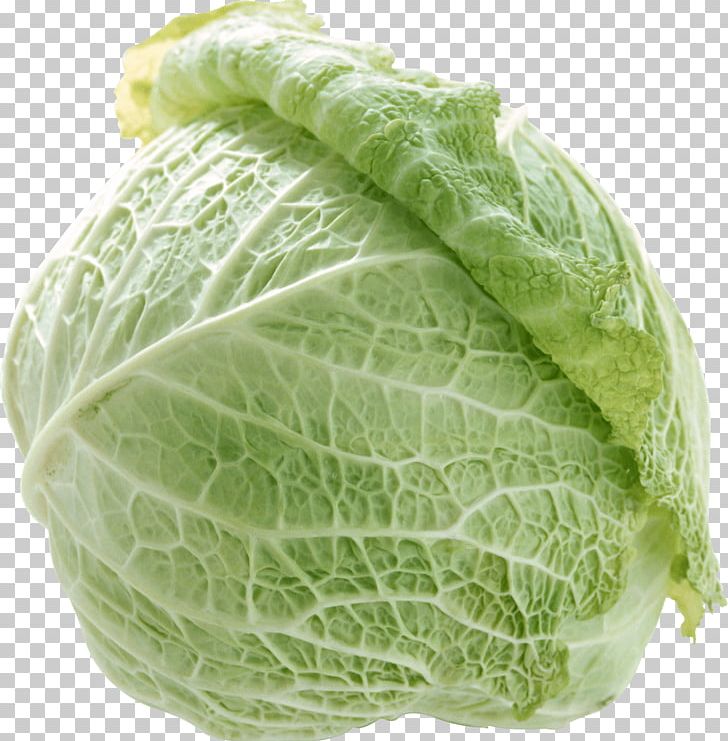 Napa Cabbage Capitata Group Chinese Broccoli Vegetable Kale PNG, Clipart, Brassica, Brassica Oleracea, Cabbage, Cabbage Family, Carbs Free PNG Download