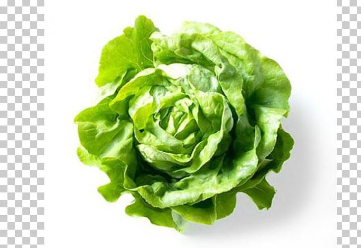Vegetable Salad Seed Celtuce Food PNG, Clipart, Bean, Bok Choy, Butterhead Lettuce, Cruciferous Vegetables, Cultivar Free PNG Download