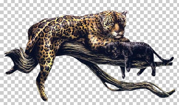 Leopard Cheetah Felidae Cat PNG, Clipart, Animaatio, Animal, Animals, Big Cat, Big Cats Free PNG Download