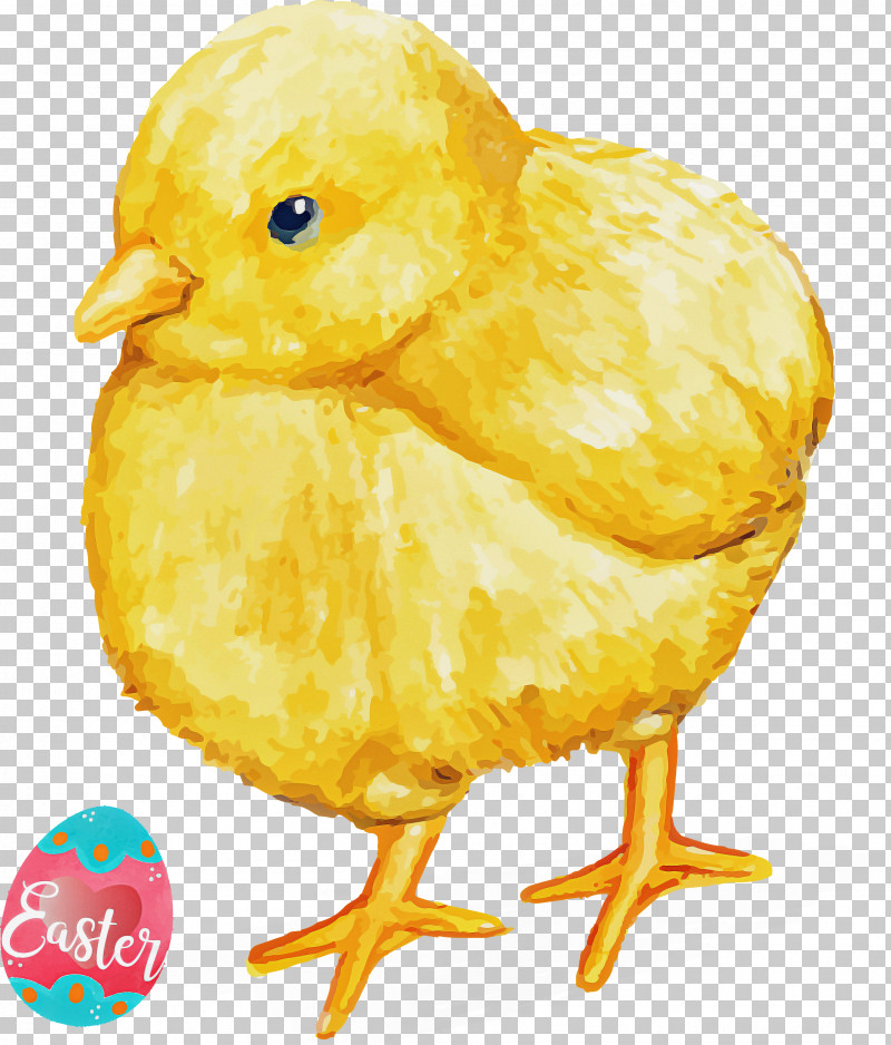 Easter Day Easter Sunday Happy Easter PNG, Clipart, Atlantic Canary, Beak, Bird, Chicken, Easter Day Free PNG Download