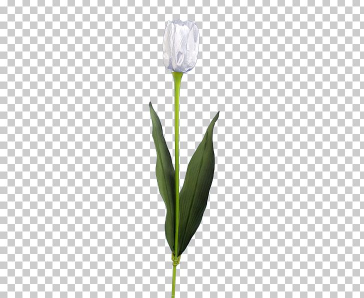 Tulip Delftware Flower Paper PNG, Clipart, Askartelu, Bud, Craft Magnets, Cut Flowers, Delft Free PNG Download
