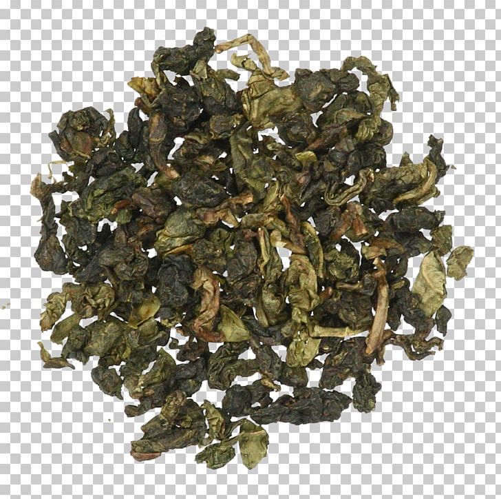 Biluochun Nilgiri Tea Oolong Gunpowder Tea Green Tea PNG, Clipart, Assam Tea, Bancha, Biluochun, Camellia Sinensis, Ceylon Tea Free PNG Download