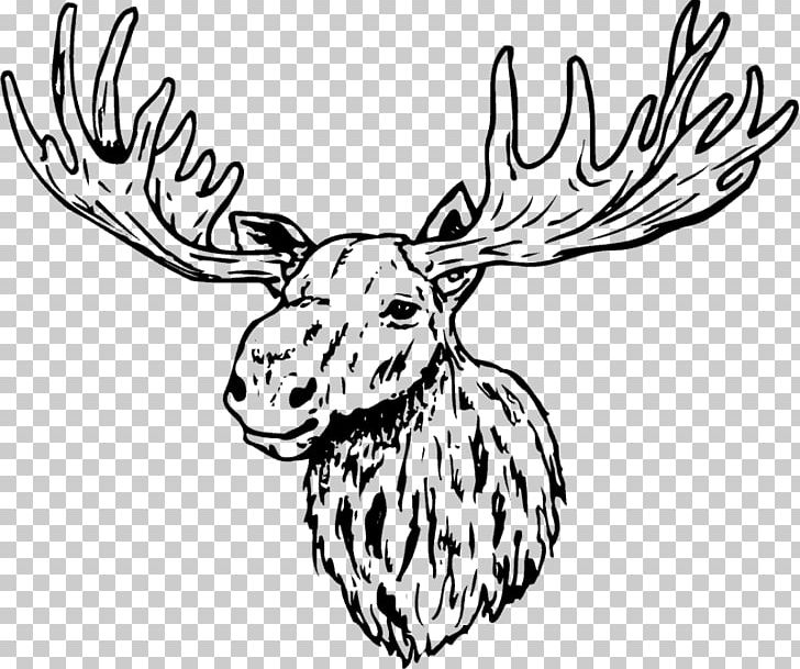 Deer Antler Line Art PNG, Clipart, Animals, Antler, Antler Luggage, Artwork, Black And White Free PNG Download