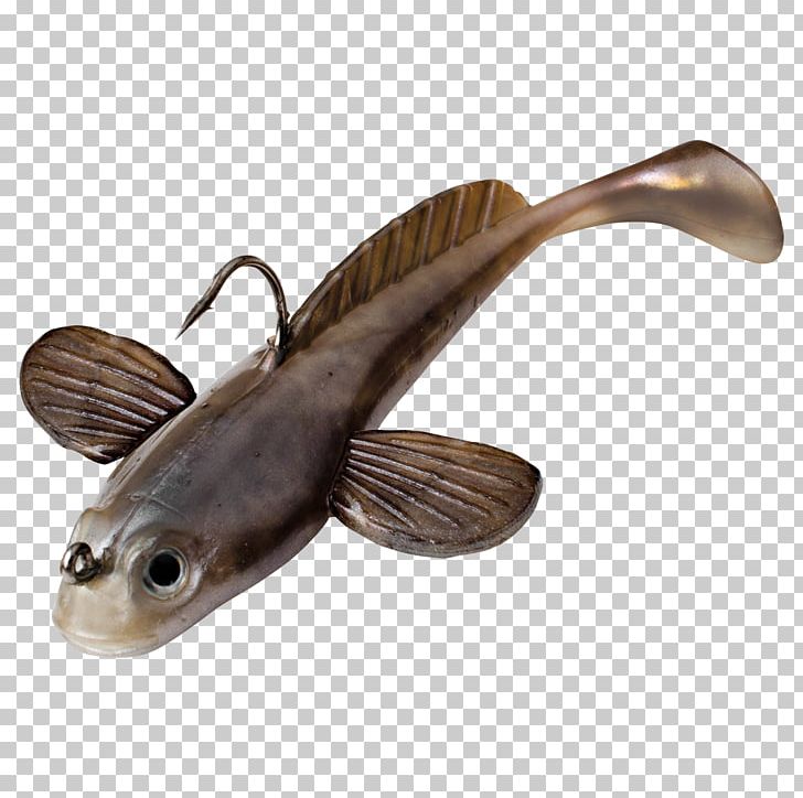 Massachusetts Institute Of Technology Importer Wholesale Recreational Fishing PNG, Clipart, Bony Fish, Catfish, Fauna, Fish, Gummifisch Free PNG Download