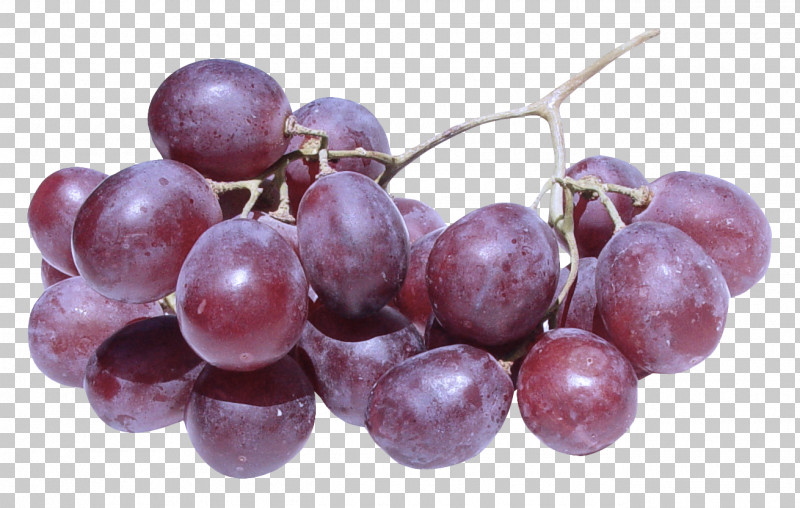 Grape Fruit Grapevine Family Vitis Plant PNG, Clipart, Food, Fruit, Grape, Grapevine Family, Plant Free PNG Download