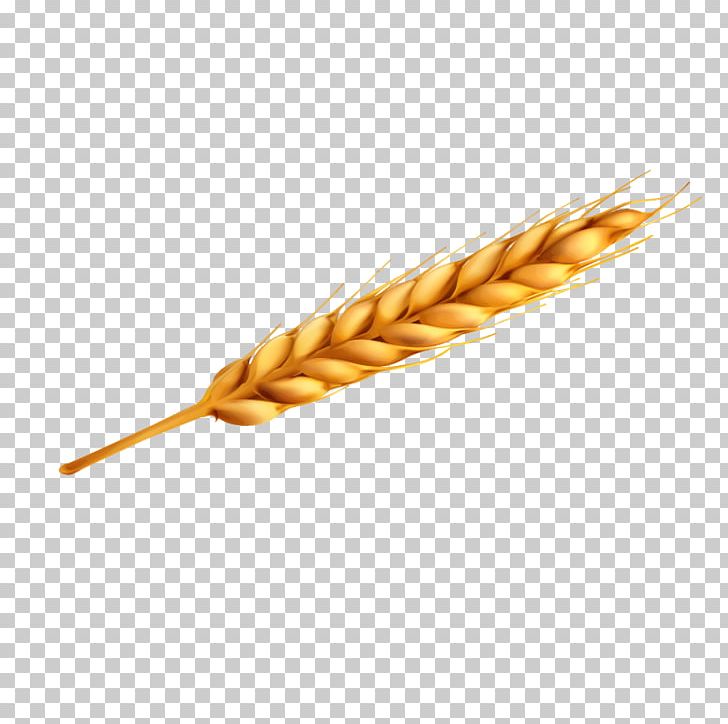 Euclidean Bread Wheat PNG, Clipart, Bread, Commodity, Computer Icons, Encapsulated Postscript, Food Free PNG Download