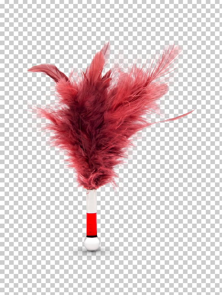 Feather RED.M PNG, Clipart, Animals, Coco, Coco De Mer, Feather, Lelo Free PNG Download