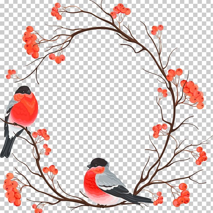 Bird Christmas European Robin Painting Art PNG, Clipart, Animals, Art, Beak, Bird, Bird Egg Free PNG Download