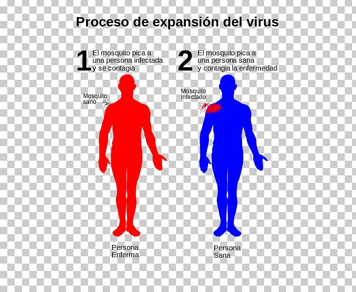 Dengue Virus Infection Infectious Disease PNG, Clipart, Arm, Brand, Disease, Human, Human Body Free PNG Download