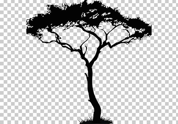 Drawing Tree Art PNG, Clipart, Art, Baobab, Black And White, Branch, Clip Art Free PNG Download