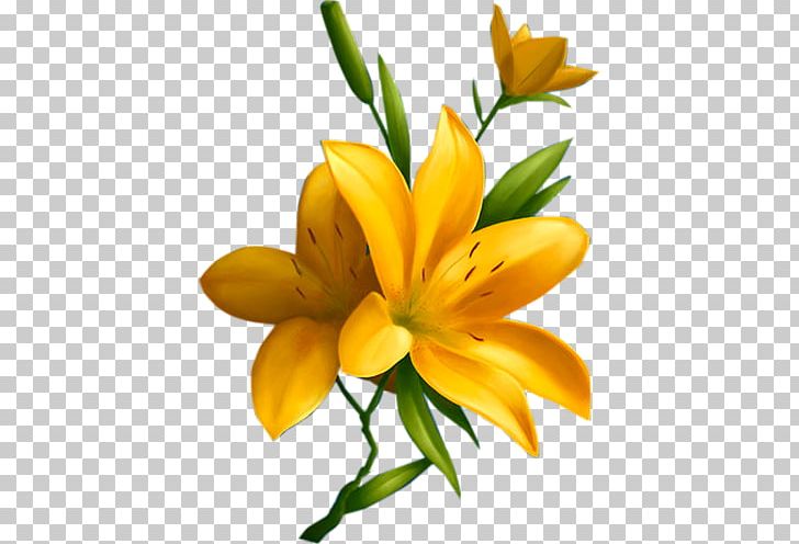 Flower Drawing Fleur-de-lis Lilium Bulbiferum PNG, Clipart, Cicek Resimleri, Cut Flowers, Drawing, Fleur, Fleurdelis Free PNG Download