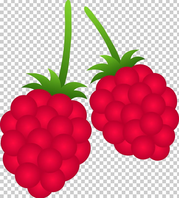 Raspberry Fruit PNG, Clipart, Berry, Berry Cliparts, Blackberry, Black Raspberry, Blue Raspberry Flavor Free PNG Download