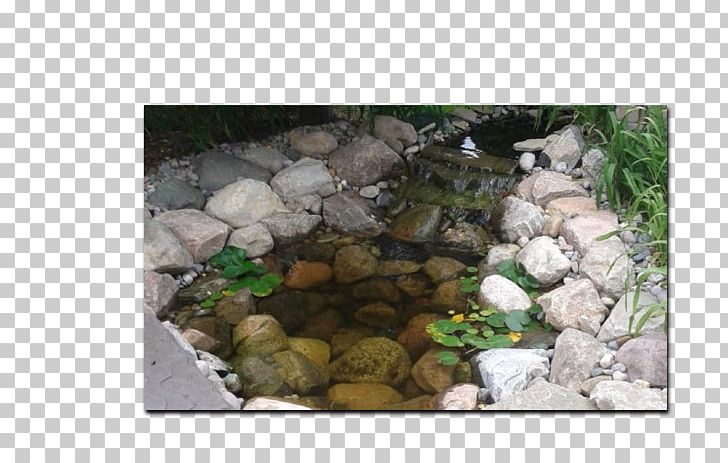Pond Fauna PNG, Clipart, Fauna, Grass, Others, Pebble, Pond Free PNG Download