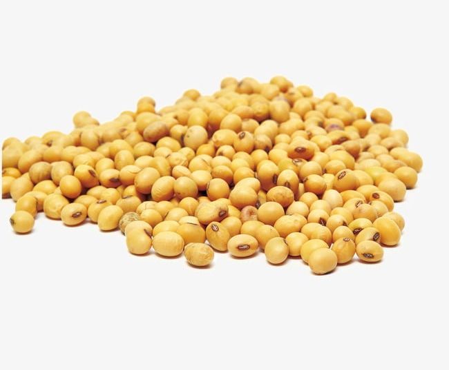 Soy PNG, Clipart, Beans, Grains, Soy, Soybean, Soy Clipart Free PNG Download