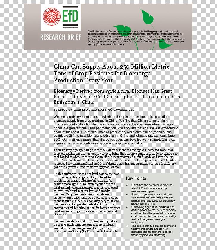 Document Product Design Procès-verbal PNG, Clipart, Area, Art, Document, Line, Paper Free PNG Download