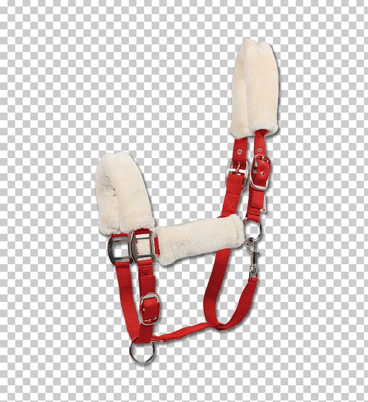 Horse Halter Rope Pony Nylon PNG, Clipart, Animals, Blue, Double Commander, Equestrian, Equestrian Sport Free PNG Download