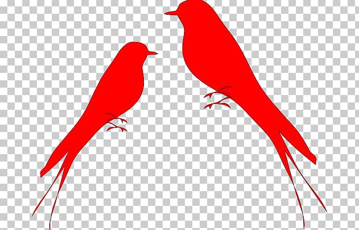 Lovebird Swallow Parrot PNG, Clipart, Beak, Bird, Branch, Cardinal, Finch Free PNG Download