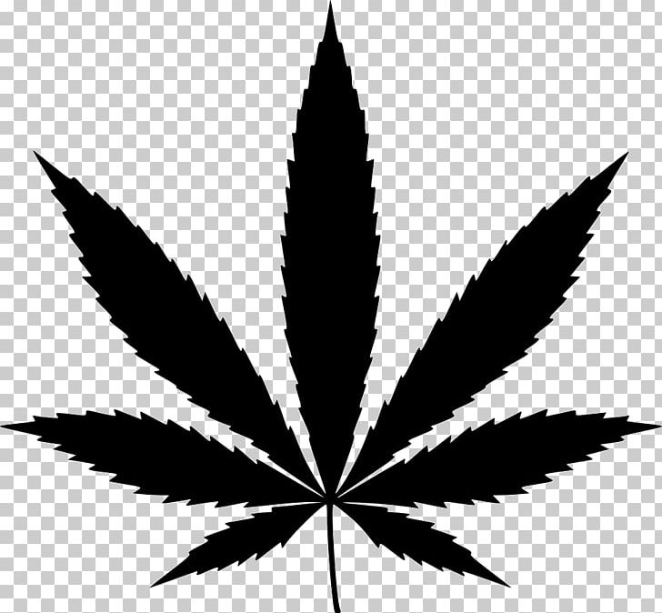 Medical Cannabis Cannabis Sativa PNG, Clipart, Black And White, Cannabidiol, Cannabis, Cannabis Sativa, Cannabis Smoking Free PNG Download