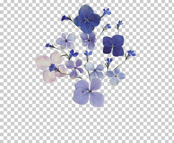 Pressed Flower Craft Floral Design Flower Bouquet PNG, Clipart, Blossom, Blue, Branch, Cobalt Blue, Cut Flowers Free PNG Download