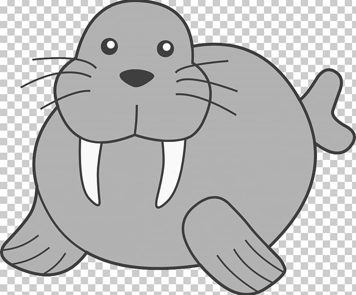 Walrus Drawing Tusk PNG, Clipart, Bear, Beaver, Black, Carnivoran, Cartoon Free PNG Download