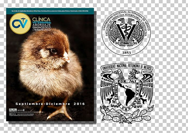 Amparo Museum Advertising Beak Fauna PNG, Clipart, Advertising, Beak, Fauna, Gabe, Intersection Free PNG Download