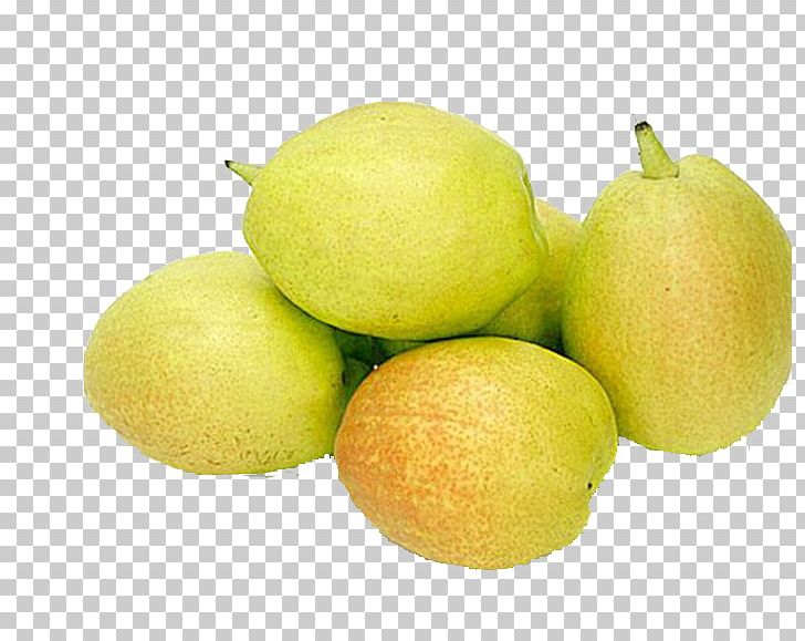 Pyrus Nivalis Lime Fruit Lemon PNG, Clipart, Apple, Auglis, Citric Acid, Citron, Citrus Free PNG Download