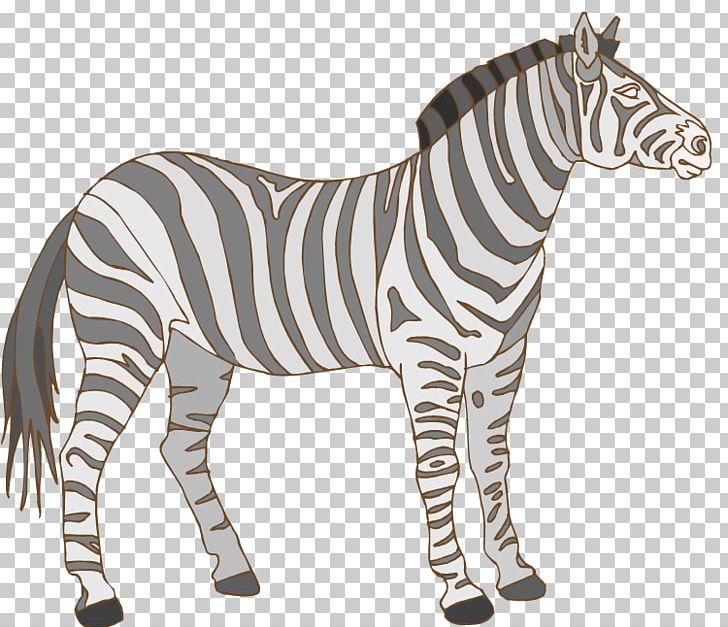 Zebra Wildlife PNG, Clipart, Animal, Animal Figure, Animals, Desktop Wallpaper, Download Free PNG Download