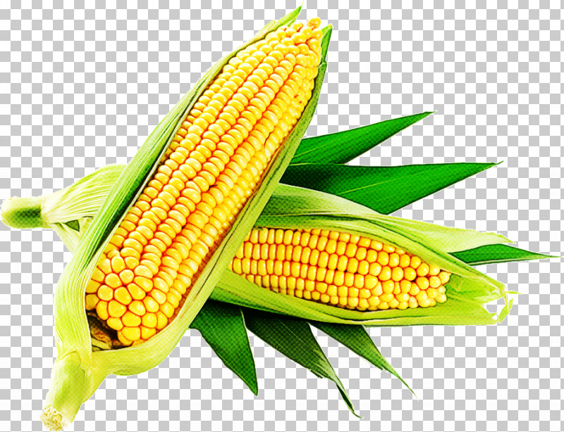 Sweet Corn Corn On The Cob Corn Flour Corn Kernel Vegetable PNG, Clipart, Commodity, Corn, Corn Flour, Corn Kernel, Corn On The Cob Free PNG Download