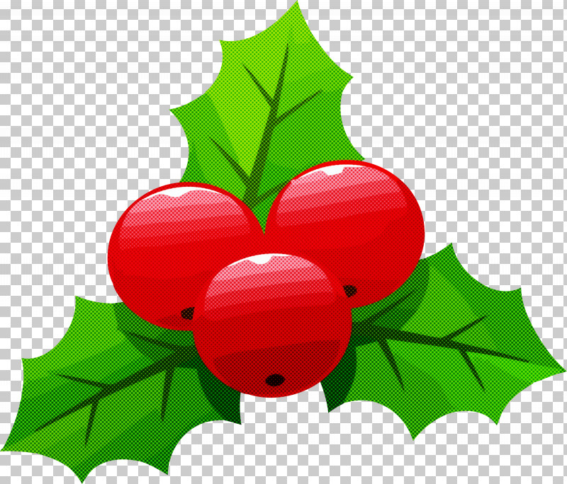 Holly Christmas Christmas Ornament PNG, Clipart, Christmas, Christmas Ornament, Currant, Evergreen, Flower Free PNG Download