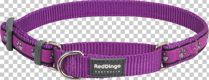 Dog Collar Dingo Martingale PNG, Clipart, Chain, Choker, Collar, Daisy Chain, Dingo Free PNG Download