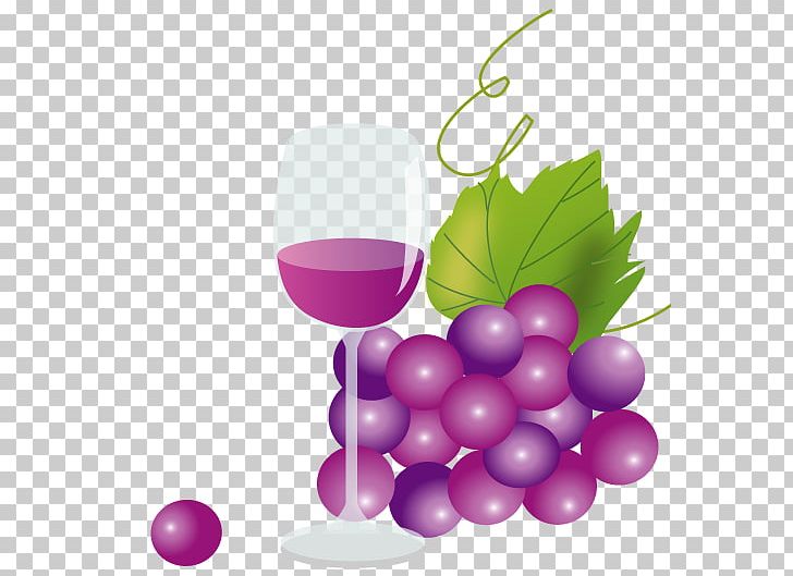 Grape Wine Juice Muscat Beaujolais Nouveau PNG, Clipart, Beaujolais Nouveau, Berry, Bunch, Common Grape Vine, Deco Free PNG Download
