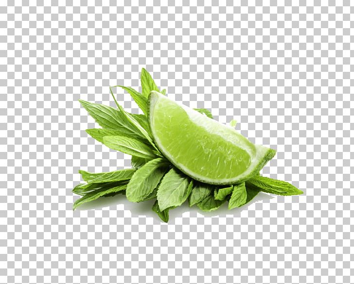 Peppermint Water Mint Mentha Spicata Lime PNG, Clipart, Auglis, Autumn Leaves, Banana Leaves, Citrus, Fall Leaves Free PNG Download