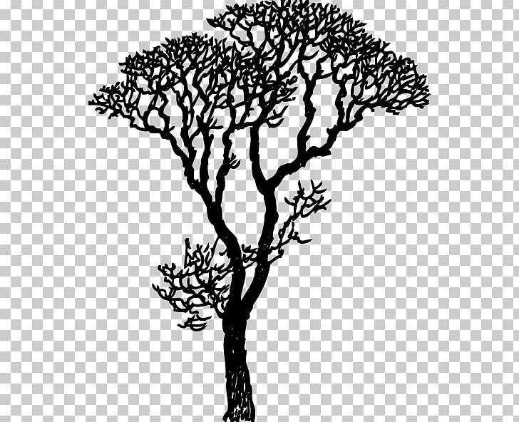 Tree Silhouette Branch Eucalyptus Grandis PNG, Clipart, Art, Black And White, Black Tupelo, Branch, Decal Free PNG Download