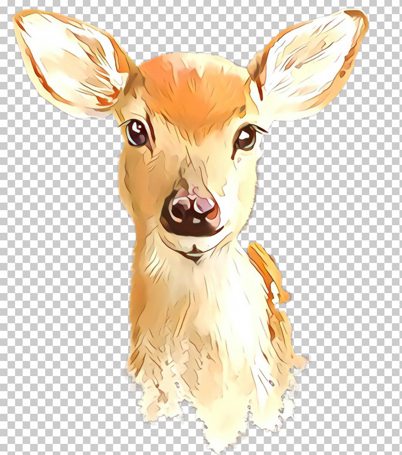 Deer Snout Ear Fawn Wildlife PNG, Clipart, Deer, Ear, Fawn, Snout, Wildlife Free PNG Download