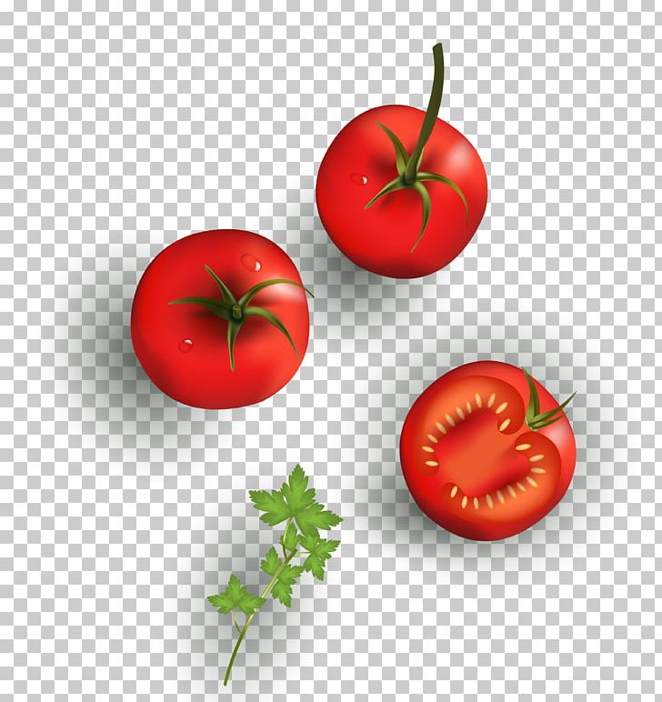 Cherry Tomato Vegetable Drawing Food PNG, Clipart, Balloon, Cartoon, Cartoon Character, Cartoon Eyes, Cartoons Free PNG Download