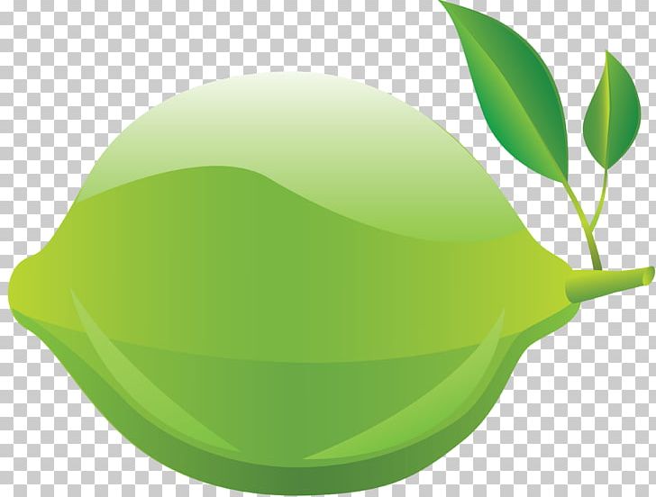 Portable Network Graphics Transparency Desktop Lime PNG, Clipart, Citrus, Computer Icons, Computer Wallpaper, Desktop Wallpaper, Display Resolution Free PNG Download