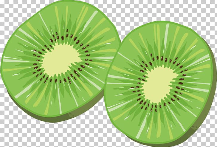 Kiwifruit PNG, Clipart, Artworks, Circle, Data, Download, Drawing Free PNG Download