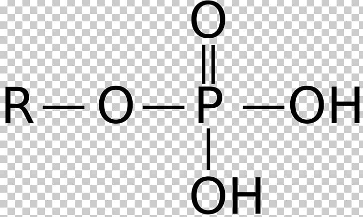 Organophosphate Functional Group Phosphoric Acid Metaphosphate PNG, Clipart, Acid, Angle, Biology, Black And White, Chemistry Free PNG Download