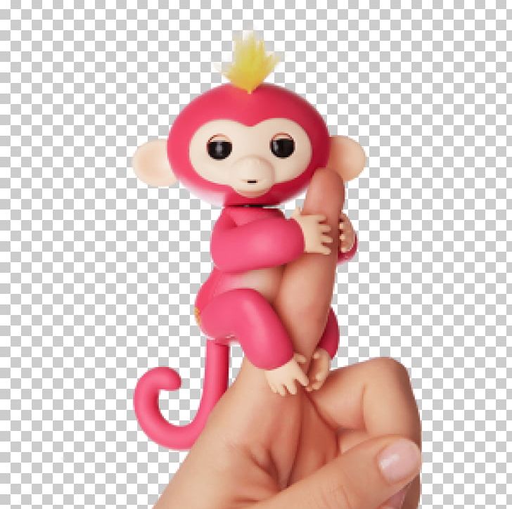 Primate Rescue Center Baby Monkeys Pygmy Marmoset PNG, Clipart, Animals, Baby Born Interactive, Baby Monkeys, Blinking, Child Free PNG Download