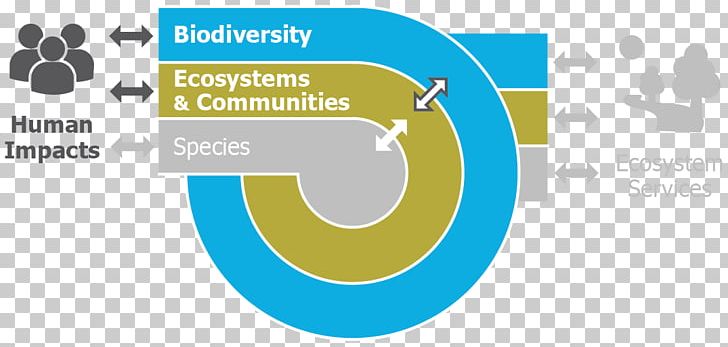 Sand Engine Ecosystem Services Natural Environment Biodiversity PNG, Clipart, Area, Biodiversity, Bioindicator, Biology, Blue Free PNG Download