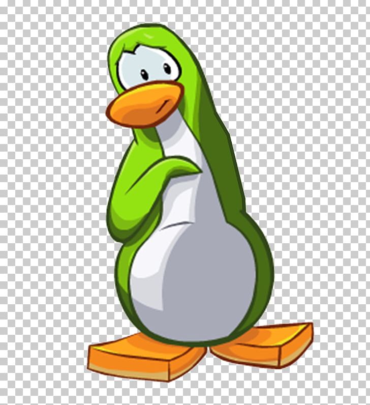 Club Penguin Flightless Bird PNG, Clipart, Animaatio, Animals, Artwork, Beak, Bird Free PNG Download