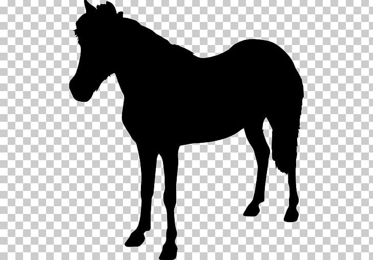 Horse Animals Mare PNG, Clipart, Animal, Animals, Black And White, Bridle, Colt Free PNG Download