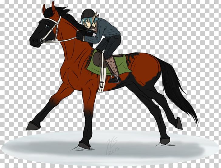 Stallion Mustang Pony English Riding Rein PNG, Clipart, English Riding, Equestrian, Equestrianism, Equestrian Sport, Halter Free PNG Download